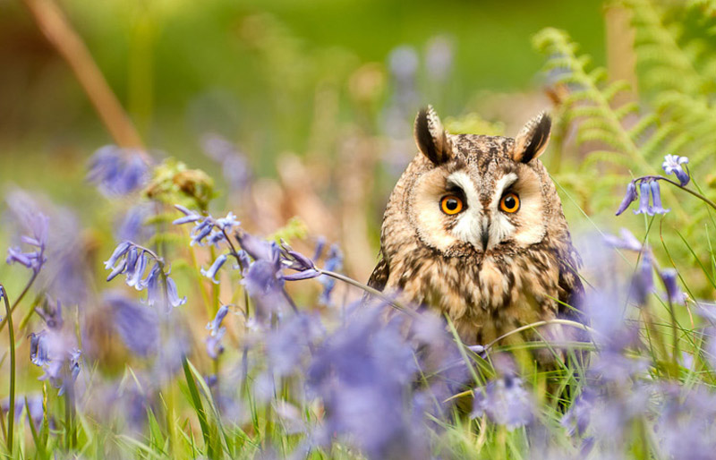 Nature. Natural objects