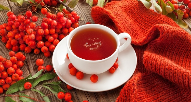 Чай з горобини: https://mamabook.com.ua/recept-vitaminnogo-chau-z-gorobunu/ 